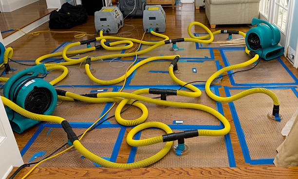 Professional Water Damage Repair technician working in Seaside, OR